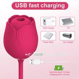 Trứng Rung Kết Hợp Đầu Bú Hút Hoa Hồng Kích Thích Nhũ Hoa & Điểm G