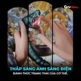 Dương vật giả Blush Temptasia Chính hãng