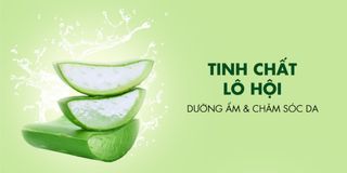 Gel Bôi Trơn Silicon Cửa Sau Shell Supermen Aloe Vera Chai 90ml