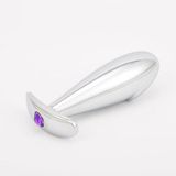Phích Cắm Hậu Môn Penis Inox