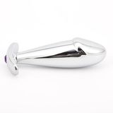 Phích Cắm Hậu Môn Penis Inox