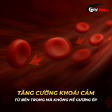 Chai hít tăng khoái cảm Popper PWD USA Amsterdam Grey - Chai 10ml 509415