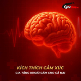 Chai hít tăng khoái cảm Popper PWD USA Jacked - Chai 30ml 509435