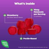 Kẹo Dẻo Natrol Gummies 10mg Giúp Ngủ Ngon Vị Dâu - Hỗ Trợ Giấc Ngủ Tự Nhiên 90 Viên Chính Hãng 745307