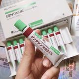 Kem Hỗ Trợ Cải Thiện Sẹo Gentacin 10g Chính Hãng Nhật Bản - Giúp Làm Mờ Sẹo và Phục Hồi Da Tự Nhiên 744498