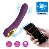 Dương Vật Giả Pretty Love Ethan Điều Khiển App 630914