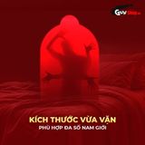 (Hộp 3 Cái) Bao cao su Shell Tropical Prolong - Siêu mỏng, kéo dài thời gian, hương hoa quả nhiệt đới chính hãng 742570