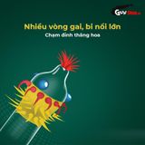 (Combo 2 Cái) Bao cao su Shell Dino T-rex - Hộp 1 bao nhiều vòng gai bi nổi lớn + 1 bao Performax chính hãng 742532