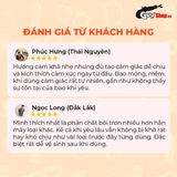 (Hộp 10 Cái) Bao cao su Okamoto Skinless Skin Orange Super Lubricative - Hương cam chính hãng 742487
