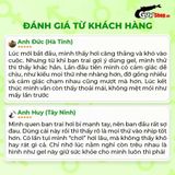 (Chai 90ml) Gel bôi trơn hậu môn tinh chất lô hội Shell Supermen Aloe Vera Chính hãng 741508