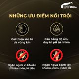 (Chai 100ml) Dung dịch vệ sinh nam dạng bọt, hương thơm nam tính Shell Masculine Scents chính hãng 742259