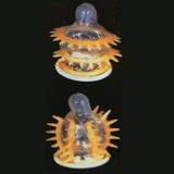 Bao Cao Su Siêu Gai GOLD BAO - 2 Chiếc