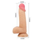 Dương vật giả dình tường silicone Pretty Love Lisle