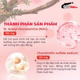 Viên uống hỗ trợ xương khớp Powergra Joint Shield - Hộp 60 viên