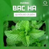 Bao cao su OKHQ hương bạc hà - Hộp 144 cái 662546