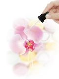 Gel Tăng Khoái Cảm Quan Hệ Bằng Miệng Orgie Orgasm Drop Kissable 30ml 663903