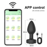Phích Cắm Hậu Môn Rung Điều Khiển Từ Xa Qua App