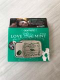 Kẹo Ngậm BJ Phòng The Mastic Mint 20 Viên – The Mát Bạc Hà, Hơi Thở Thơm Tho