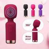 Máy Rung Massage Silicone Mini Cao Cấp – Sạc Từ Tính USB, Kháng Nước IPX6, Tần Số Rung Mạnh Mẽ (Hộp 1 Gậy + Cáp Sạc) 749570