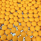 Kẹo Ngậm Mật Ong Nhân Sâm Hamer Pro 66F86K – Tăng Sức Bền, Phục Hồi Năng Lượng 752260