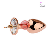 (Snapshop) Phích Cắm Hậu Môn Inox Mickey Gold Chính Hãng