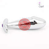 (Snapshop) Phích Cắm Hậu Môn Penis Inox Chính Hãng