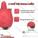 (Snapshop) Trứng Rung Lưỡi Liếm Hình Bông Hồng Rung Thục 10 Chế Độ Chính Hãng