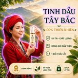 Tinh Dầu Tây Bắc Đậm Đặc Cao Cấp Hương Tự Nhiên Trợ Giá Tốt ƯU ĐÃI KHỦNG