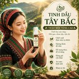 Tinh Dầu Tây Bắc Cô Đặc Từ Thiên Nhiên Siêu Sale Bán Chạy TOP 1 773175