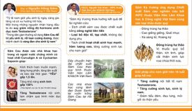 Sâm Kỳ Vương hỗ trợ bổ thận tráng dương tăng cường sinh lý