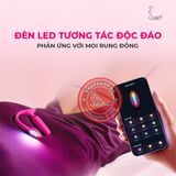 Trứng rung hậu môn Lovense Lush Anal Chính Hãng