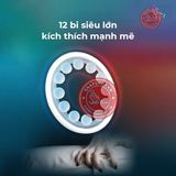 Vòng đeo kéo dài thời gian OLO 12 bi Chính Hãng