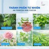 Dung dịch vệ sinh nam Firon Prime Essence 100ml - Dạng bọt, hương bạc hà tươi mát Chính Hãng