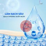 Dung dịch vệ sinh nam Firon Prime Essence 100ml - Dạng bọt, hương bạc hà tươi mát Chính Hãng