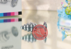 (Snapshop) Phích cắm hậu kim loại dạng xoắn Lovetoy Rosebud Classic Clear Chính Hãng