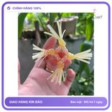 (Che Tên) Bao cao su đôn vòng râu, đôn vòng trơn, đôn khúc bi cho nam Cao Cấp Bảo Đảm
