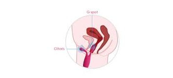 Que Rung 3 Đỉnh Đa Năng Cao Cấp Svakom Marin