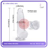 (Che Tên) Dương Vật Giả Đường Kính 5cm Trong Suốt Không Rung Hộp Trắng Kín