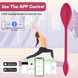 Trứng Rung Điều Khiển Bằng Remote/APP
