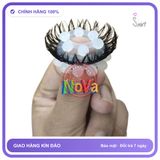 (Che Tên) Vòng đeo lông ngựa 2 tầng kèm khúc đôn bi đeo đầu dương vật Chuẩn Auth
