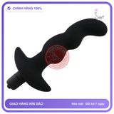 (Che Tên) Plug Rung Điểm G Ngắn 10 Chế Độ Rung Hỗ Trợ 24/7