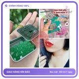 (Che Tên) kẹo ngậm the mát bạc hà ,kẹo phòng the hộp 20 viên Hỗ Trợ 24/7