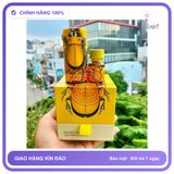 (Che Tên) Combo chai hít popper tăng hưng phấn Popper Bumble Bee bọ cánh cứng 40ml và 10ml Hỗ Trợ 24/7