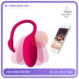 (Che Tên) Trứng Rung Tình Yêu Vũ Công Thiên Nga Flamingo – Magic Motion điều khiển bằng điện thoại, trứng không dây cao cấp kết nối bluetooth Hộp Trắng Kín