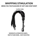 Bộ dụng cụ bdsm 10 món cao cấp