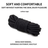 Bộ dụng cụ bdsm 10 món cao cấp