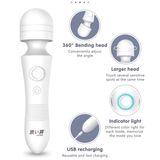 Chày rung sạc USB DryWell Wand AB-01
