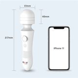Chày rung sạc USB DryWell Wand AB-01