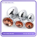 Plug phích cắm hậu môn Inox Đính Đá B