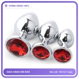 Plug phích cắm hậu môn Inox Đính Đá A